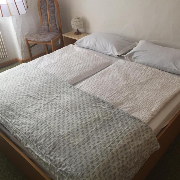 Platzlhof - Appartamento con Vista Montagna - 5