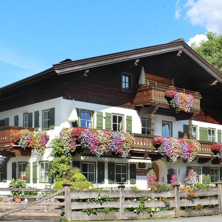 Flatscherbauer - Apartment mit Blick auf die Berge - 1