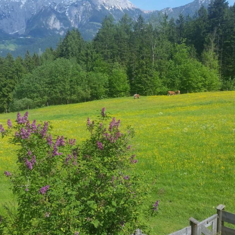 Appartements Hochödlehen - Apartment (2 Erwachsene) - 8