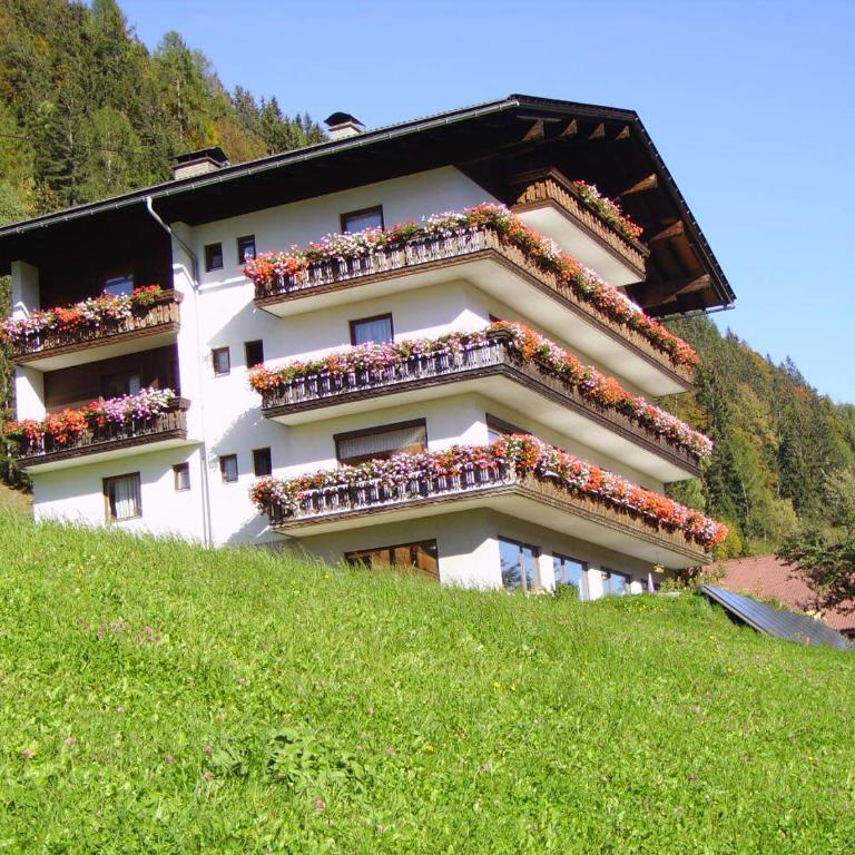Alpakahof Strieder - Apartment mit Blick auf die Berge - 2