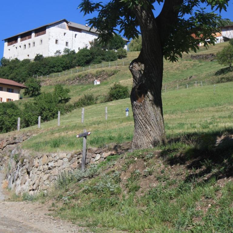 Tschott Hof - Appartamento con Vista Montagna - 22