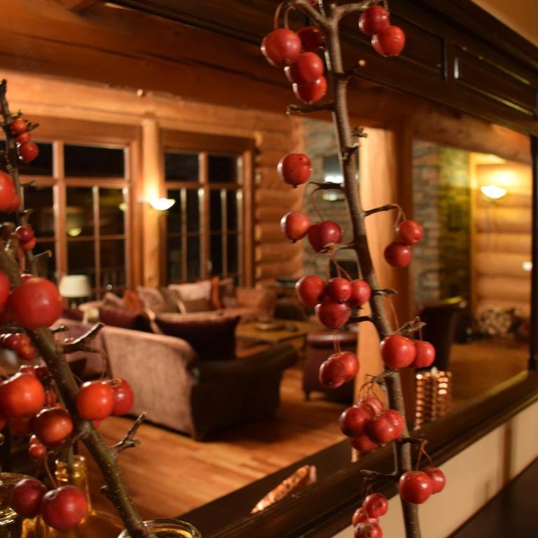 Chalet Caprea - Chalet - 28