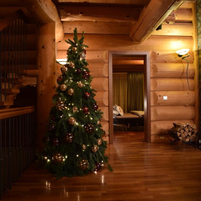 Chalet Caprea - Chalet - 35