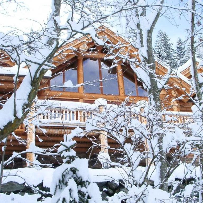 Chalet Caprea - Chalet - 8