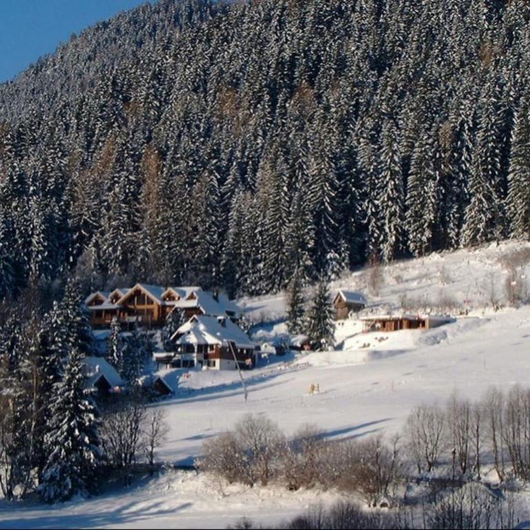 Chalet Caprea - Chalet - 26