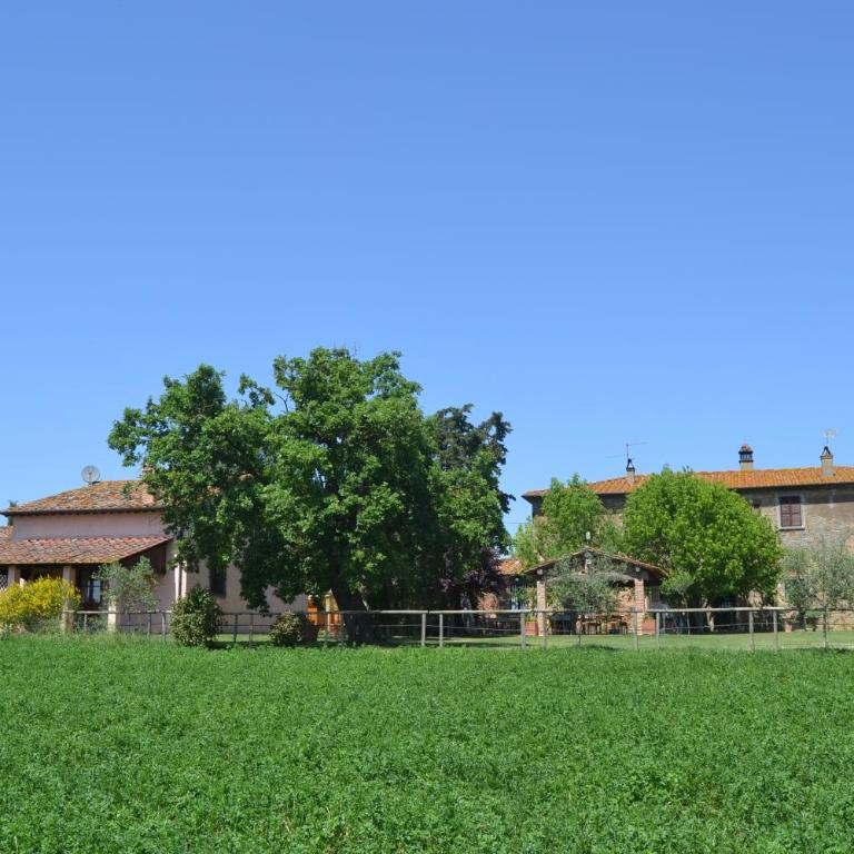 Cortona Holiday Home - Casa a Schiera con 2 Camere da Letto - 1