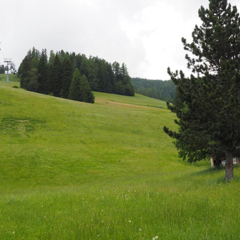 Ferienhaus Ahornweg - Ferienhaus - 21