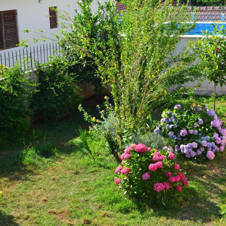 ABC apartments - Apartman sa Terasom - 15