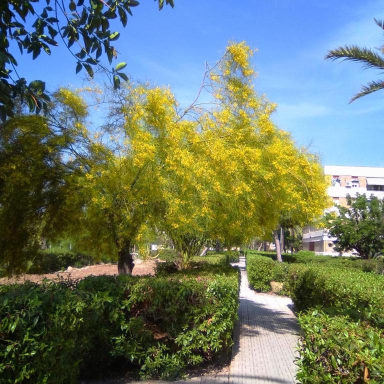 Apartamento Jardines Vía Parque - Standard Apartment - 31