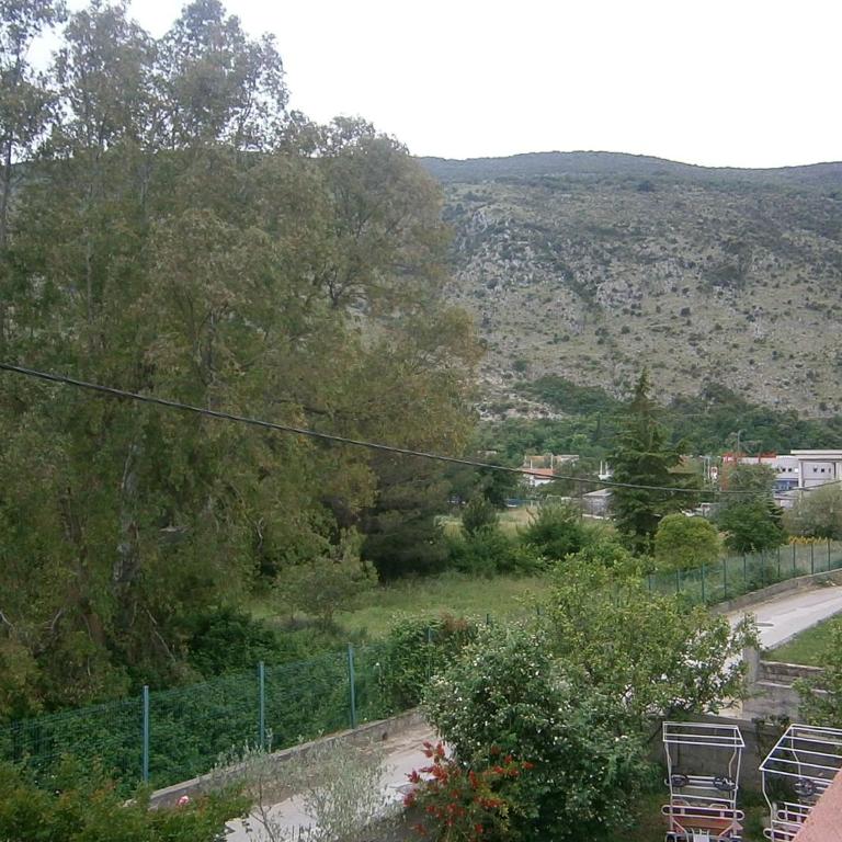 Apartments Stevović - Triple Room with Shared Bathroom - 1