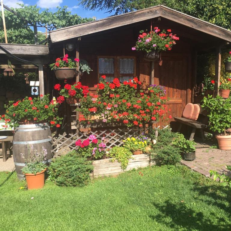Weingut Zundlhof - Appartamento con 1 Camera da Letto - 12