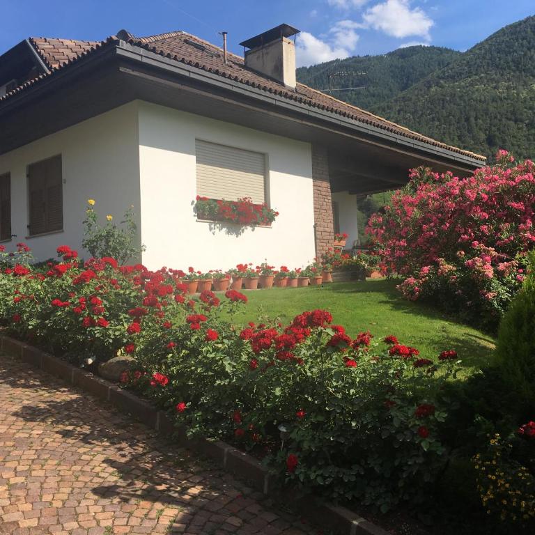 Weingut Zundlhof - Appartamento con 1 Camera da Letto - 13