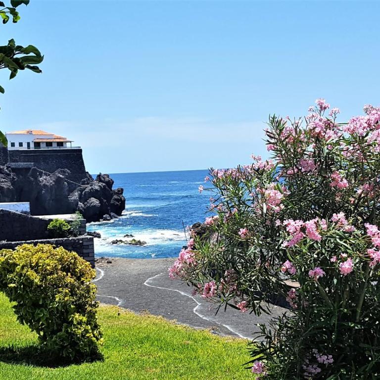 Ocean Panorama - Apartamento de 1 dormitorio - 24