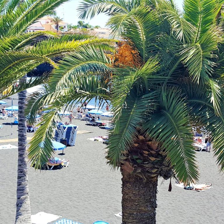 Ocean Panorama - Apartamento de 1 dormitorio - 39