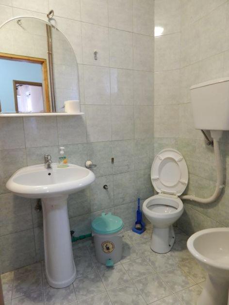 Guest House Stankovic - Studio - 2