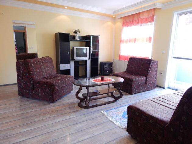 Guest House Stankovic - Apartman Tipa "Suite" sa Terasom - 2