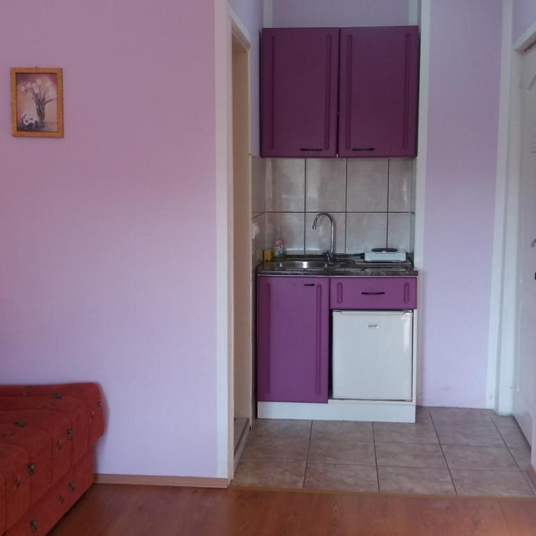Guest House Stankovic - Dupleks Apartman Tipa "Suite" - 4
