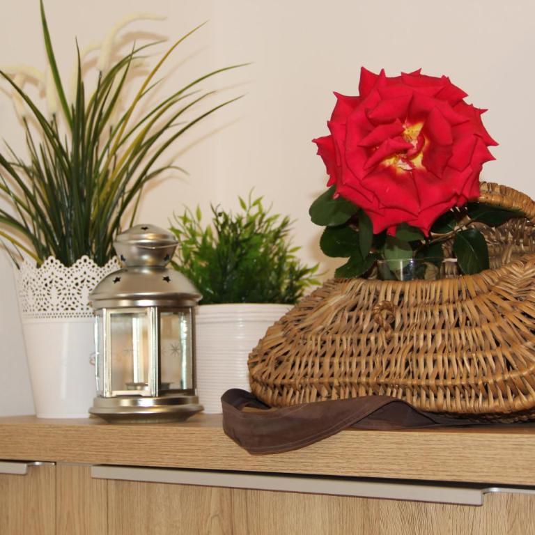 Dolce Casa - Appartamento - 33