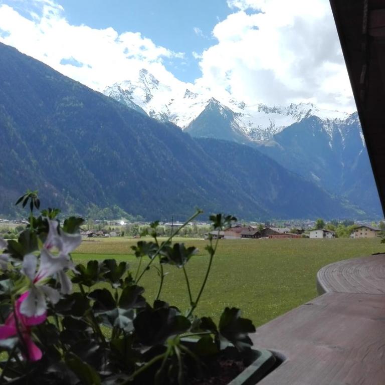 Apartment Theresia - Apartment mit Blick auf die Berge - 2