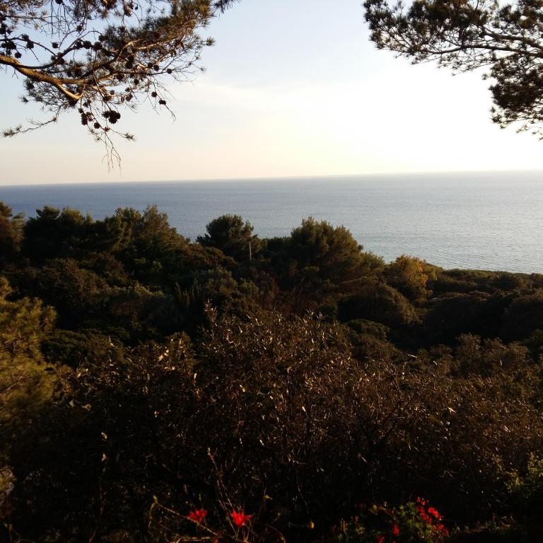 Terrazza sul Mare - Casa Vacanze - 9