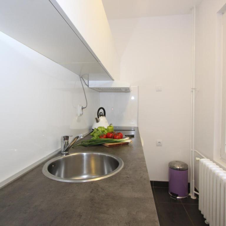 New Belgrade Apartment ARENA - Apartman sa Balkonom - 11