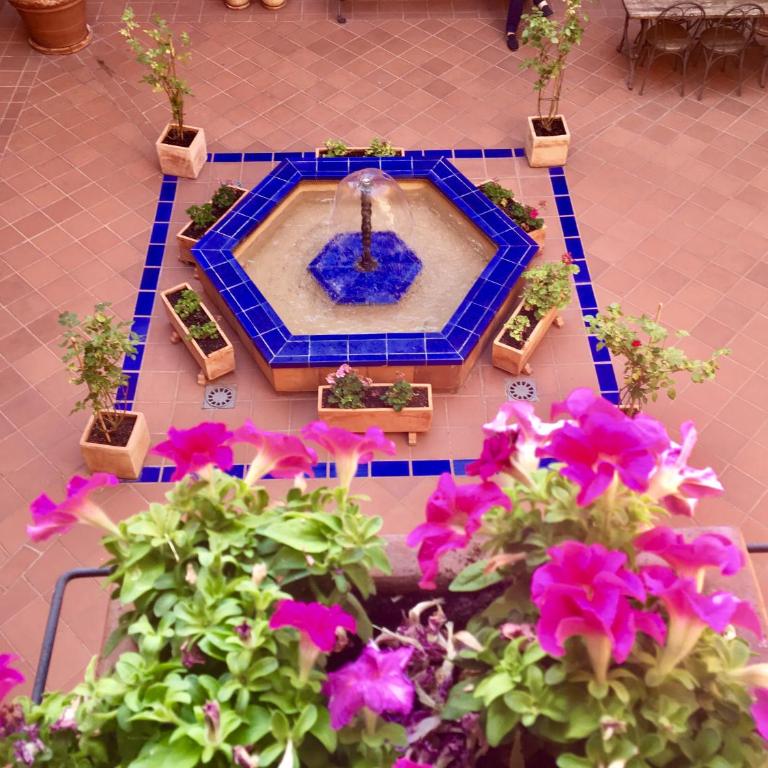 Apartamento San Juan de los Reyes - Apartamento - Planta baja - 23