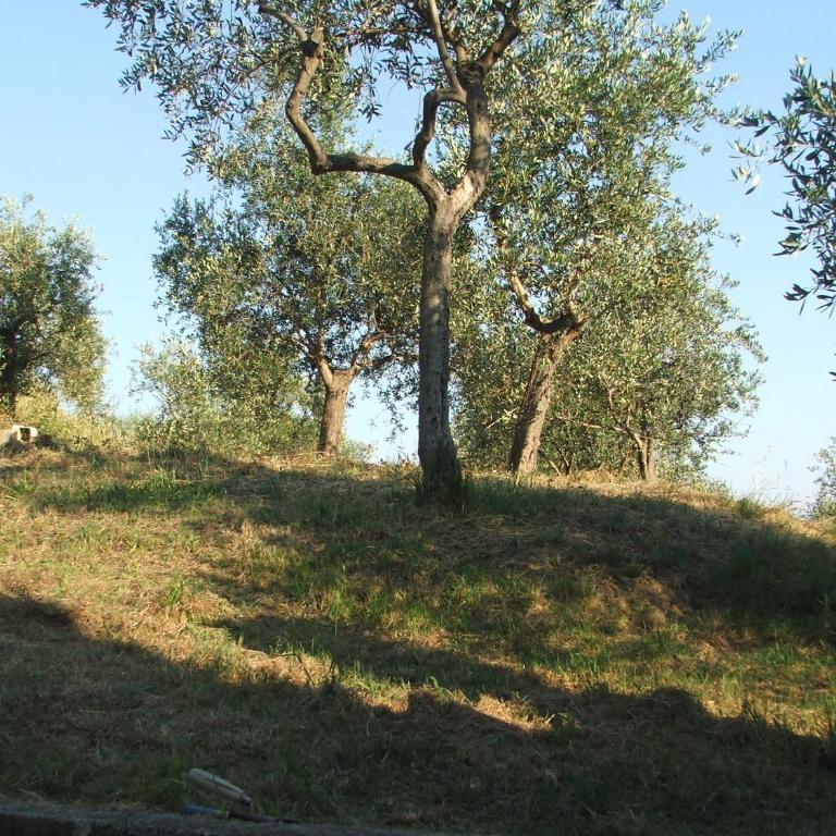 La casetta di Sofia - Casa con 3 Camere da Letto - 71