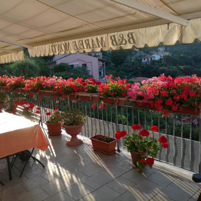 B&B Mare e Monti - Camera Matrimoniale con Bagno Privato Esterno - 12