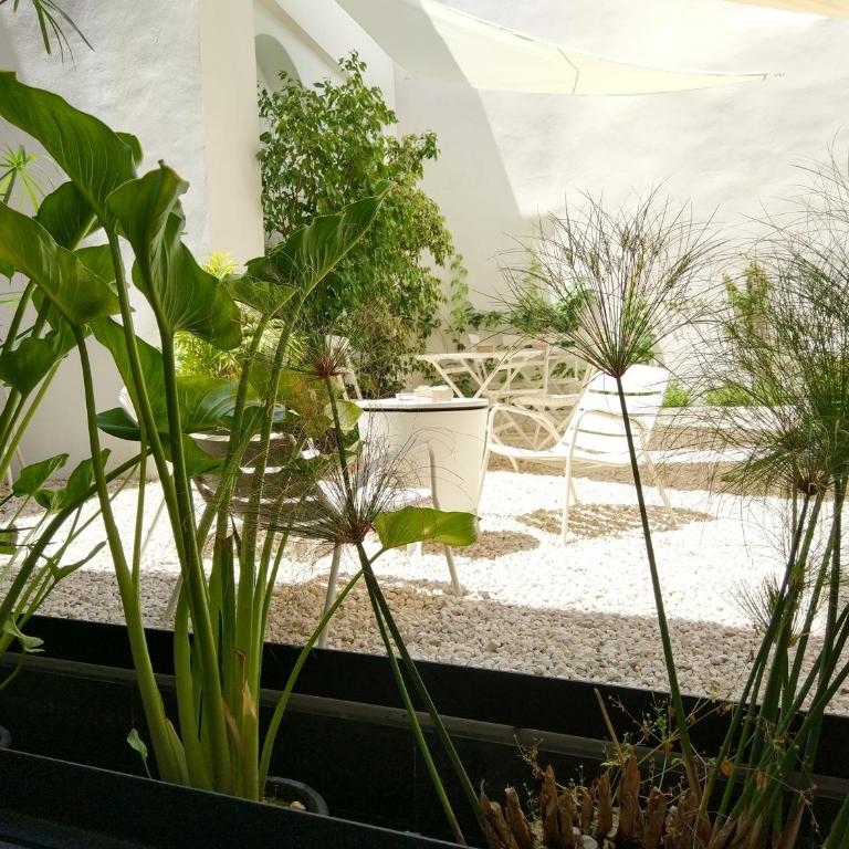 Apartamentos Córdoba Atrium - Standard Studio - 90