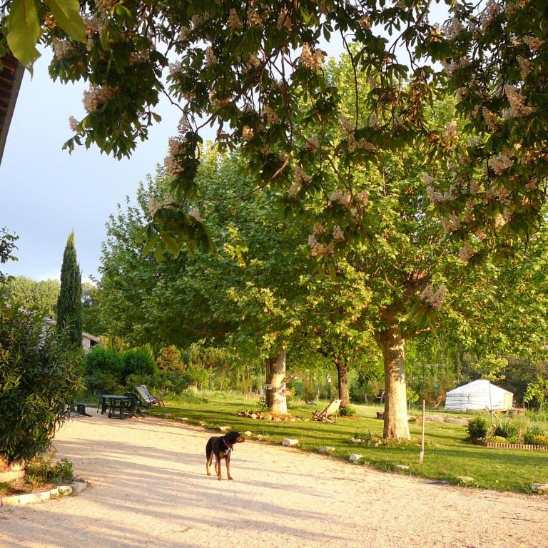 La Source, Vegetarian Guest House - Yourte - 3
