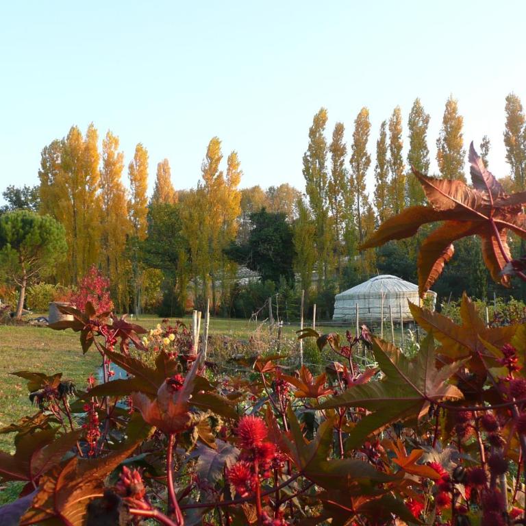 La Source, Vegetarian Guest House - Yourte - 5