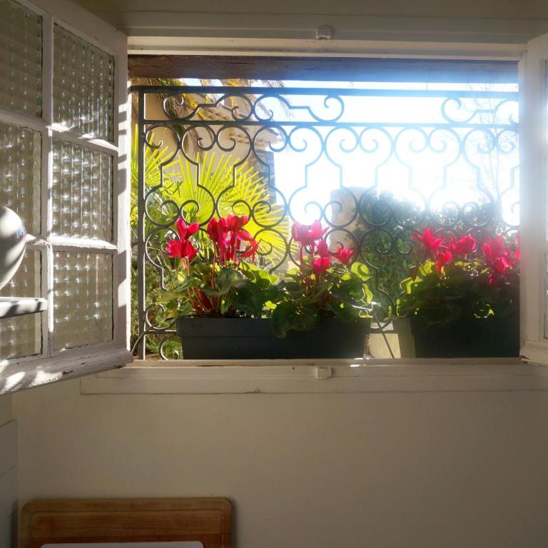 Villa Mimosa - Villa - Vue sur Mer - 10