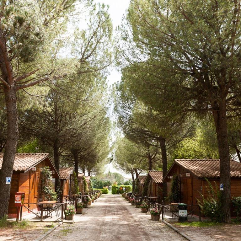 Green Village Assisi - Chalet con 2 Camere da Letto e Cucina - 3