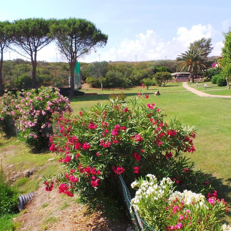 Residence Sottomonte - Appartamento - Piano Terra - 5