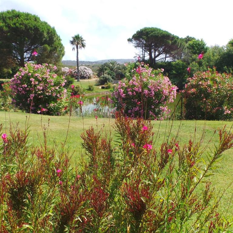 Residence Sottomonte - Appartamento - Piano Terra - 9