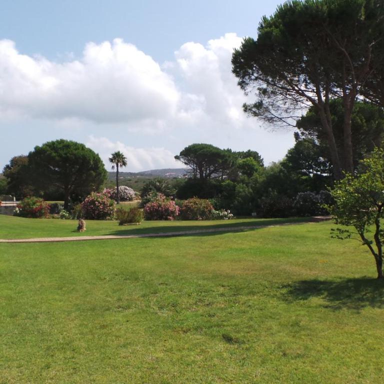 Residence Sottomonte - Appartamento - Piano Terra - 11