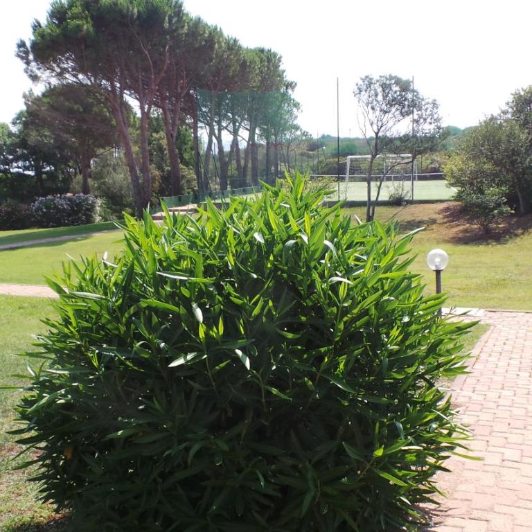 Residence Sottomonte - Appartamento - Piano Terra - 12
