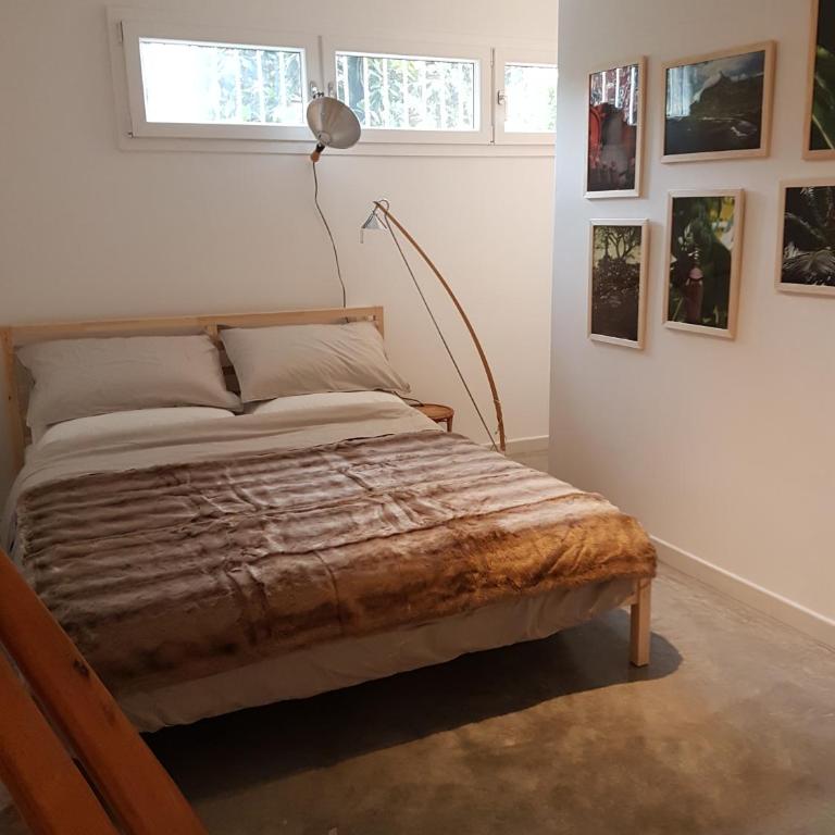 B&B Il Picchio - Camera King Standard - 1