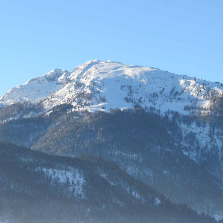 Ferienwohnungen Mooshäusl - Apartment mit Blick auf die Berge - 3