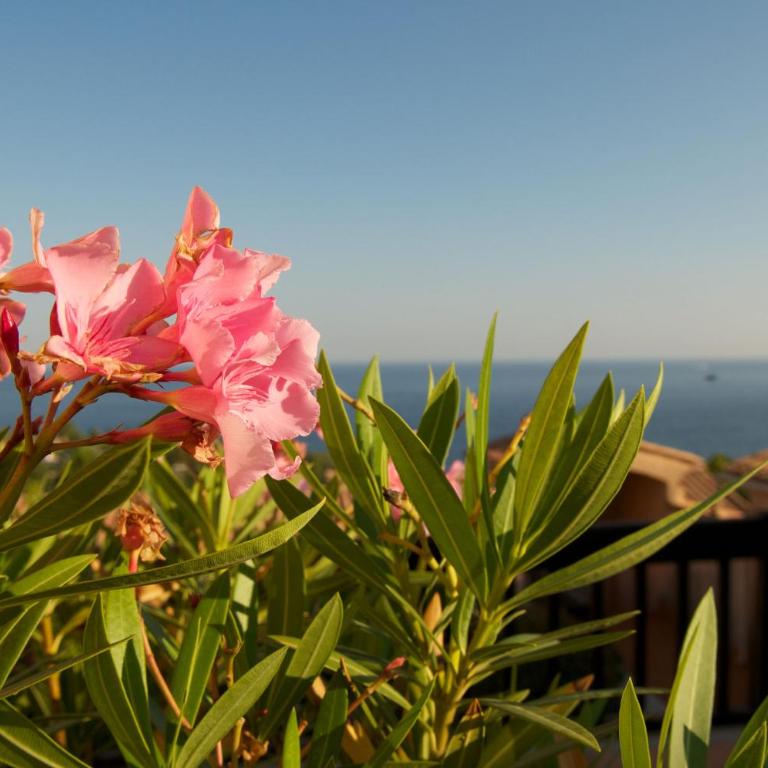 Appartamento vista mare - Appartement 2 Chambres - 22