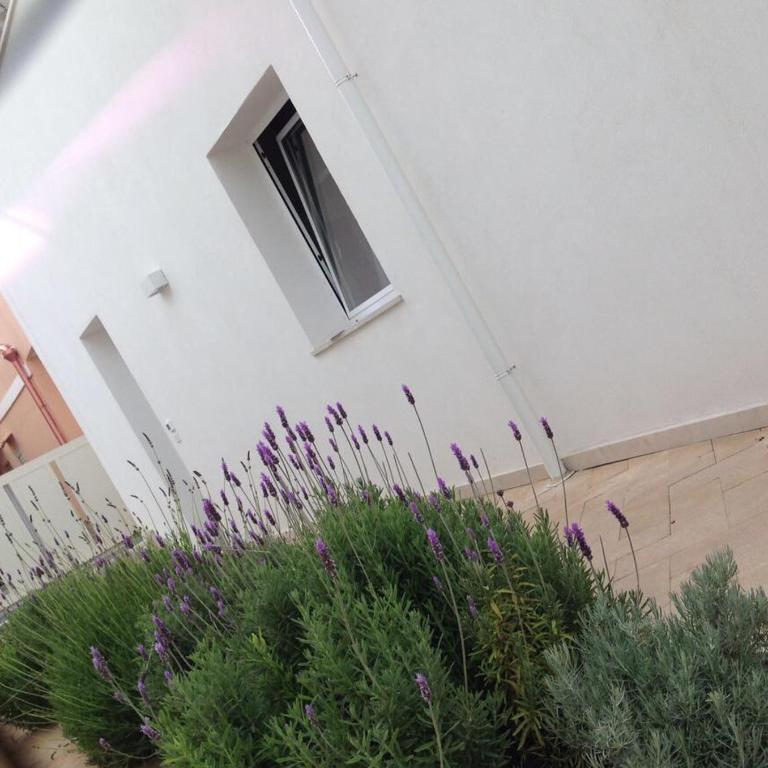 Borghetto Mediterraneo - Studio-Apartment - 6