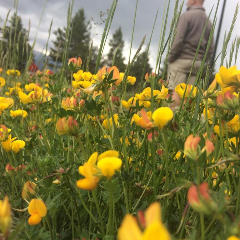 Le Jardin de Font Romeu - Appartement - Rez-de-Chaussée - 21