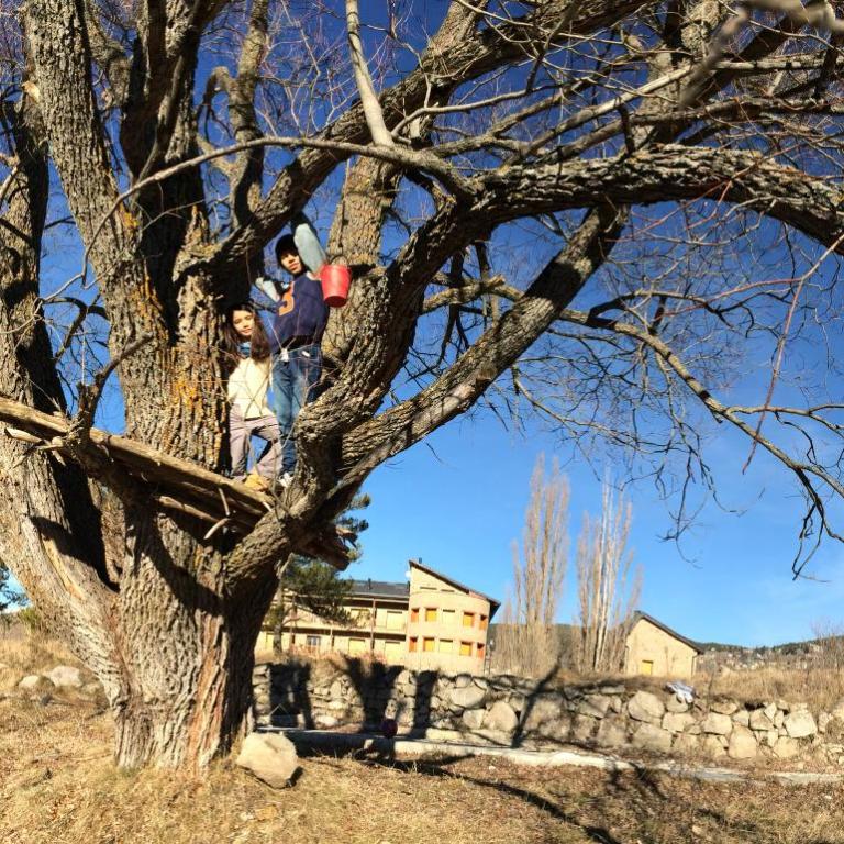 Le Jardin de Font Romeu - Appartement - Rez-de-Chaussée - 20