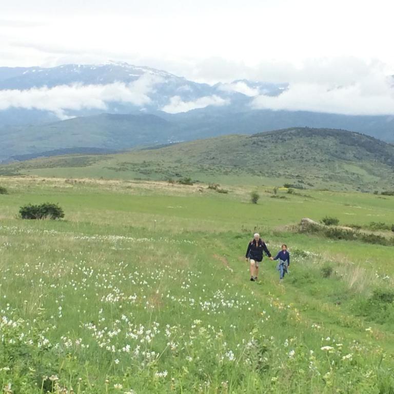Le Jardin de Font Romeu - Appartement - Rez-de-Chaussée - 22