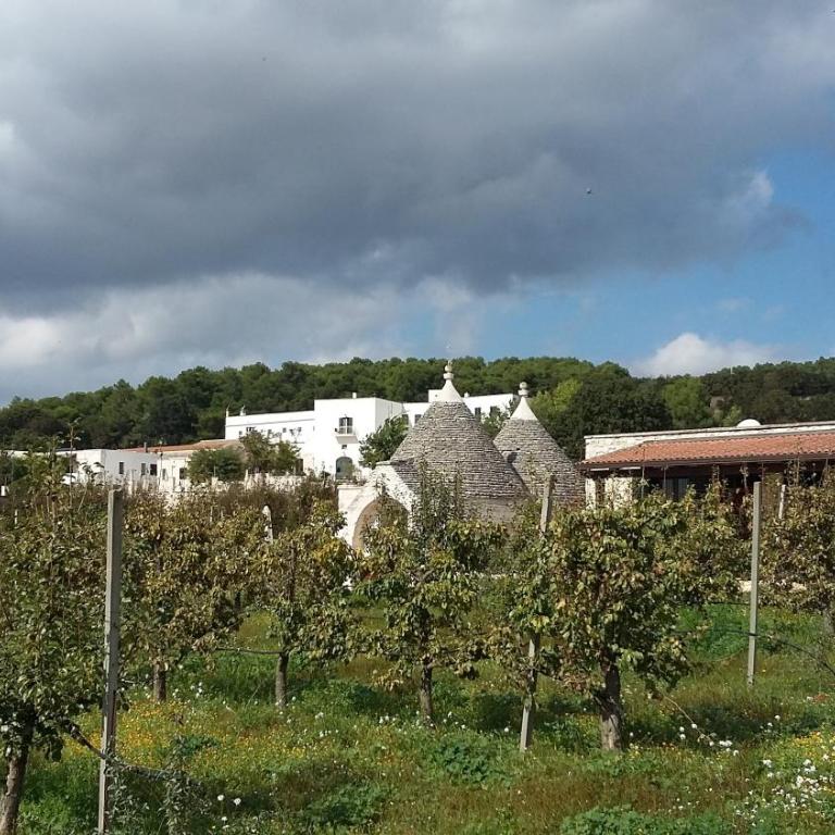 Masseria Torricella - Trullo (2 Adulti) - 6