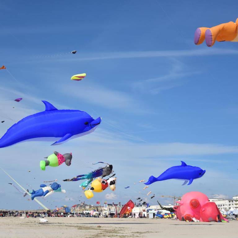 Studio "Les pieds dans l'eau" - 50m Front de Mer - Appartamento Monolocale - 27