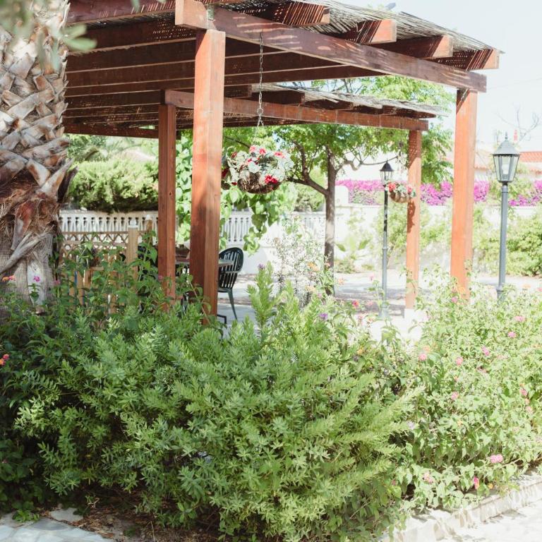 Apartamentos Casa Torres - Adults Only - Standard Apartment - 1