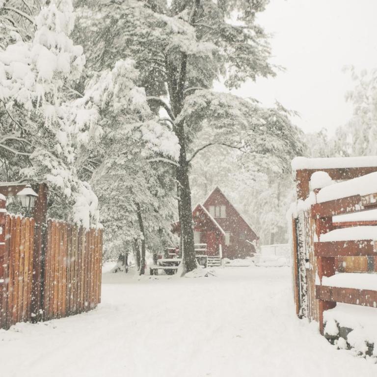 Llaima Camp - Three-Bedroom Bungalow - 5