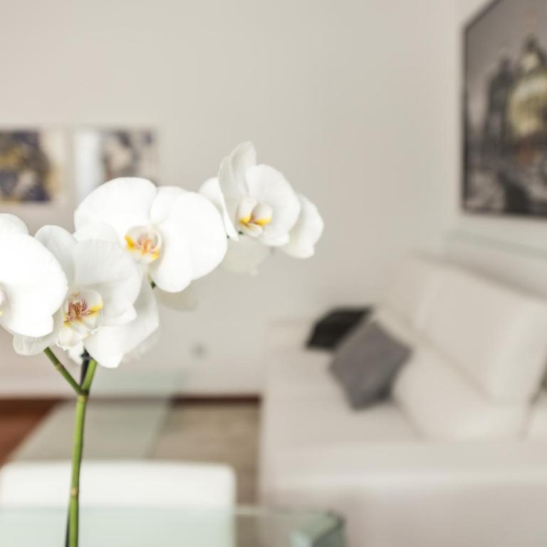 Chueca Urban - Apartamento Superior - 18