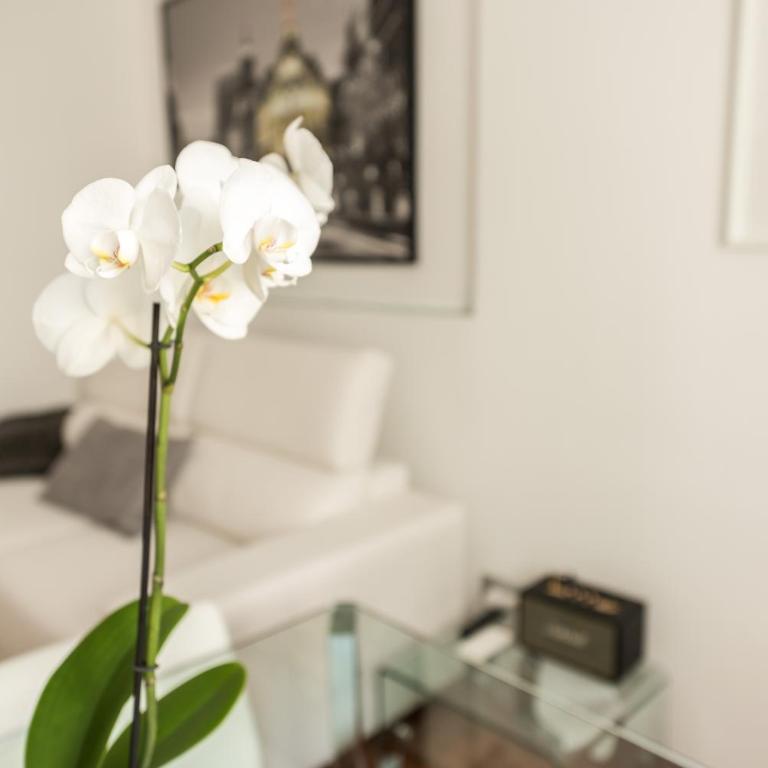 Chueca Urban - Apartamento Superior - 44